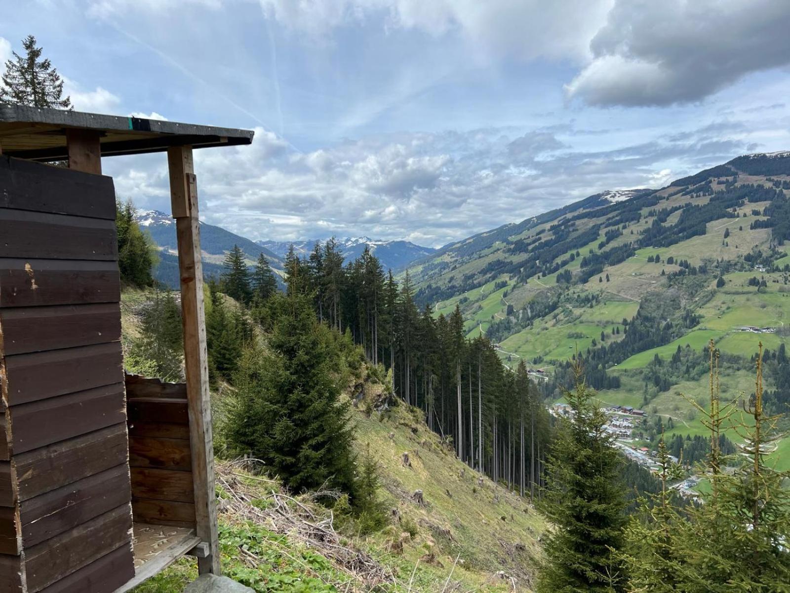 Landhaus Servus Viehhofen Eksteriør bilde